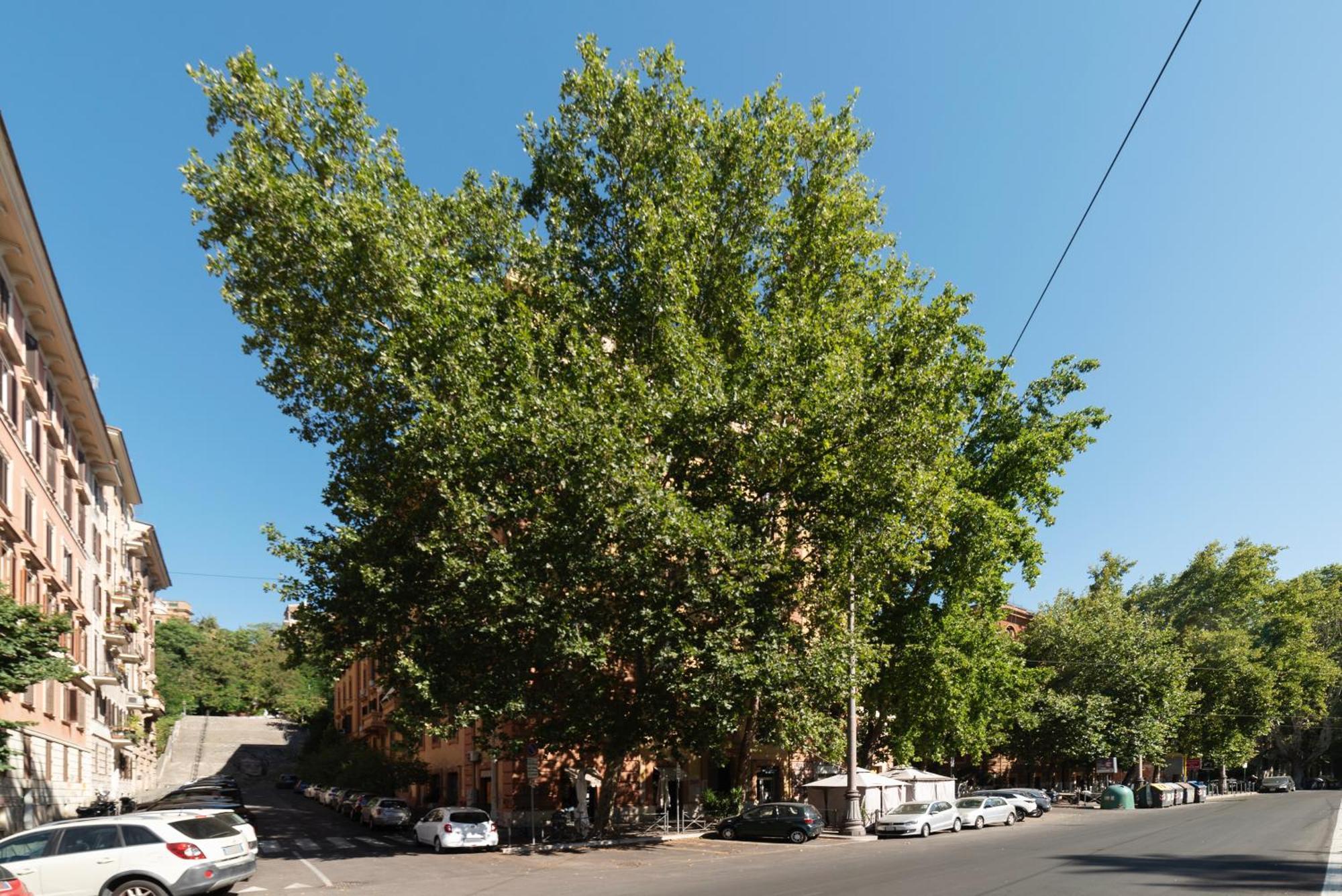 Piazza Nievo A Trastevere Cozy Lejlighed